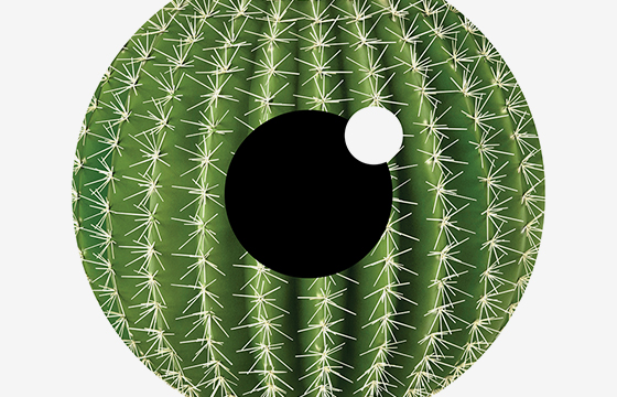 Dropsept&amp;Dropdefence